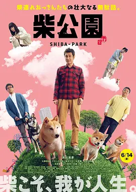 五月婷网