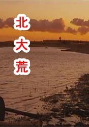 成人看片黄a在线观看